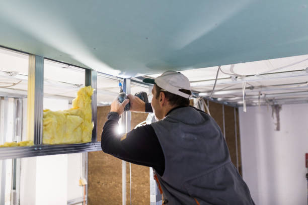 Best Insulation for Specific Applications in Lake Sarasota, FL