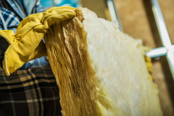 Best Blown-in Insulation in Lake Sarasota, FL