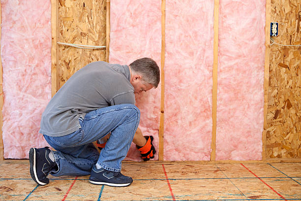 Best Cellulose Insulation in Lake Sarasota, FL
