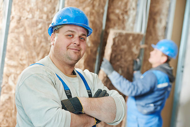 Best Specialized Insulation Services in Lake Sarasota, FL